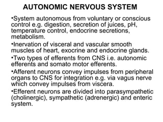 AUTONOMIC NERVOUS SYSTEM
•System autonomous from voluntary or conscious
control e.g. digestion, secretion of juices, pH,
temperature control, endocrine secretions,
metabolism.
•Inervation of visceral and vascular smooth
muscles of heart, exocrine and endocrine glands.
•Two types of efferents from CNS i.e. autonomic
efferents and somato motor efferents.
•Afferent neurons convey impulses from peripheral
organs to CNS for integration e.g. via vagus nerve
which convey impulses from viscera.
•Efferent neurons are divided into parasympathetic
(cholinergic), sympathetic (adrenergic) and enteric
system.
 