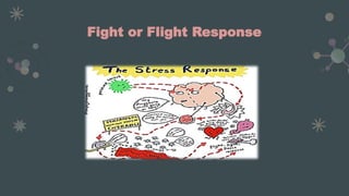 autonomic Nervous system in peripheral nervous system | PPT