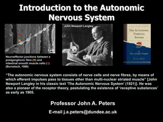 Introduction to the Autonomic
Nervous System
Professor John A. Peters
E-mail j.a.peters@dundee.ac.uk
“The autonomic nervous system consists of nerve cells and nerve fibres, by means of
which efferent impulses pass to tissues other than multi-nuclear striated muscle” [John
Newport Langley in his classic text ‘The Autonomic Nervous System’ (1921)]. He was
also a pioneer of the receptor theory, postulating the existence of ‘receptive substances’
as early as 1905.
John Newport Langley
Neuroeffector junctions between a
postganglionic fibre (N) and
intestinal smooth muscle cells (S)
(Burnstock, 1988)
N
S
3 μm
 