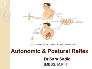 Autonomic & Postural Reflex
Dr.Sara Sadiq
(MBBS, M.Phil)
 