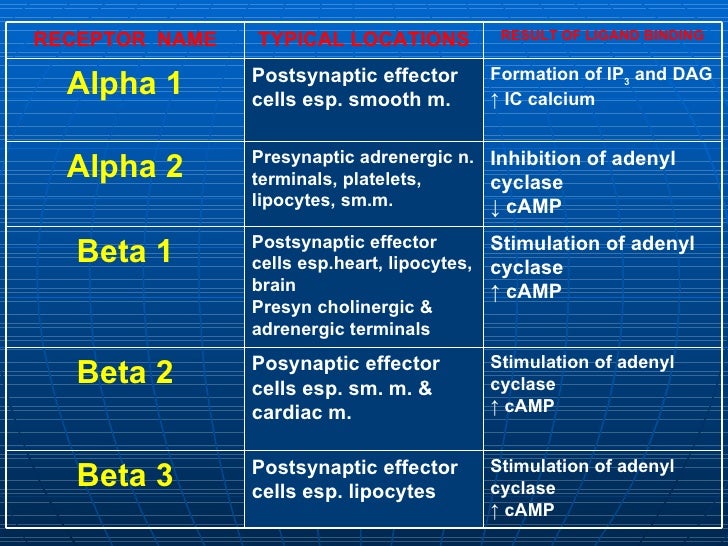 Autonomics & Sympathetics