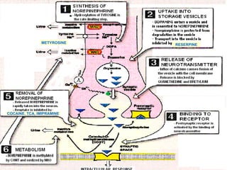 METYROSINE COCAINE, TCA, IMIPRAMINE RESERPINE 