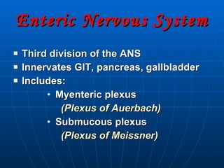Enteric Nervous System  Third division of the ANS Innervates GIT, pancreas, gallbladder Includes: Myenteric plexus   (Plexus of Auerbach) Submucous plexus    (Plexus of Meissner) 
