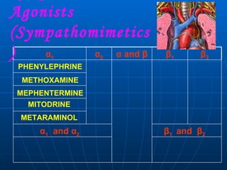 Sympathetic Agonists (Sympathomimetics)  PHENYLEPHRINE METHOXAMINE MEPHENTERMINE METARAMINOL MITODRINE β 1  and  β 2 α 1   and  α 2 β 2 β 1 α  and  β α 2 α 1 
