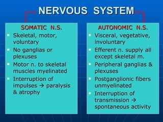 NERVOUS  SYSTEM SOMATIC  N.S. Skeletal, motor, voluntary  No ganglias or plexuses Motor n. to skeletal muscles myelinated Interruption of impulses    paralysis & atrophy AUTONOMIC  N.S. Visceral, vegetative, involuntary Efferent n. supply all except skeletal m. Peripheral ganglias & plexuses Postganglionic fibers unmyelinated Interruption of transmission    spontaneous activity 