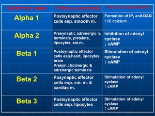 Stimulation of adenyl cyclase ↑  cAMP Postsynaptic effector cells esp. lipocytes Beta 3 Stimulation of adenyl cyclase ↑  cAMP Posynaptic effector cells esp. sm. m. & cardiac m. Beta 2 Stimulation of adenyl cyclase ↑  cAMP Postsynaptic effector cells esp.heart, lipocytes, brain Presyn cholinergic & adrenergic terminals Beta 1 Inhibition of adenyl cyclase ↓  cAMP Presynaptic adrenergic n. terminals, platelets, lipocytes, sm.m. Alpha 2 Formation of IP 3  and DAG ↑  IC calcium Postsynaptic effector cells esp. smooth m. Alpha 1 RESULT OF LIGAND BINDING TYPICAL LOCATIONS RECEPTOR  NAME 