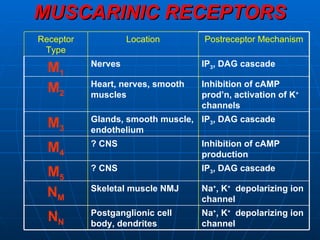 MUSCARINIC RECEPTORS Na + , K +   depolarizing ion channel Postganglionic cell body, dendrites N N Na + , K +   depolarizing ion channel Skeletal muscle NMJ N M IP 3 , DAG cascade ? CNS M 5 Inhibition of cAMP production ? CNS M 4 IP 3 , DAG cascade Glands, smooth muscle, endothelium M 3 Inhibition of cAMP prod’n, activation of K +  channels Heart, nerves, smooth muscles M 2 IP 3 , DAG cascade Nerves M 1 Postreceptor Mechanism Location Receptor Type 