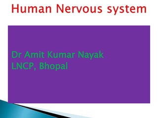 Dr Amit Kumar Nayak
LNCP, Bhopal
 