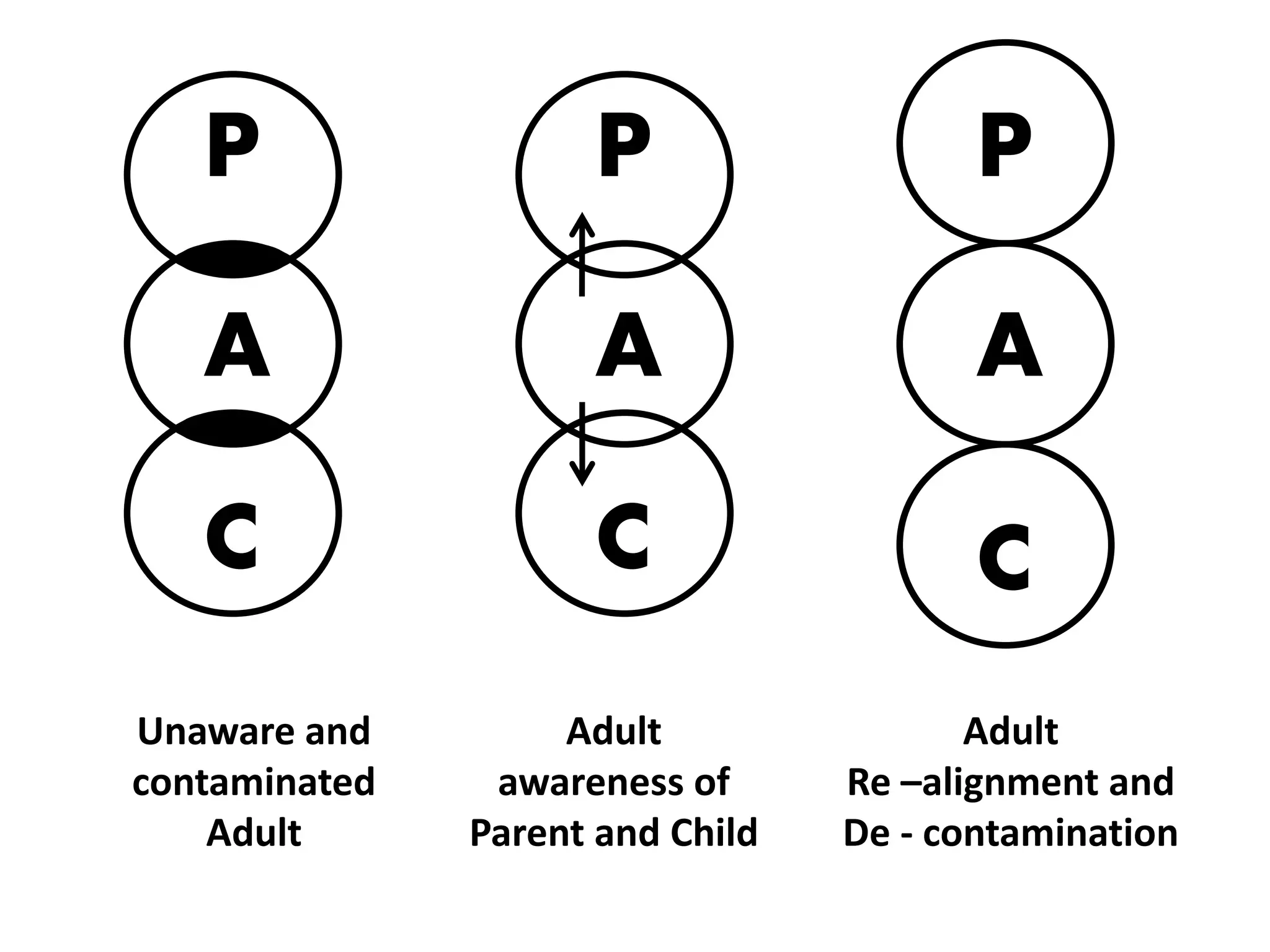 Integrated Adult
• People moving toward
autonomy expand their
personal capacities for
awareness, spontaneity
and intimacy. As this
occurs, they develop
integrated adult ego
states.
• Filtering more and more
Parent and Child material
through their Adult and
learning new behavior
patterns are parts of the
integrating process.
 