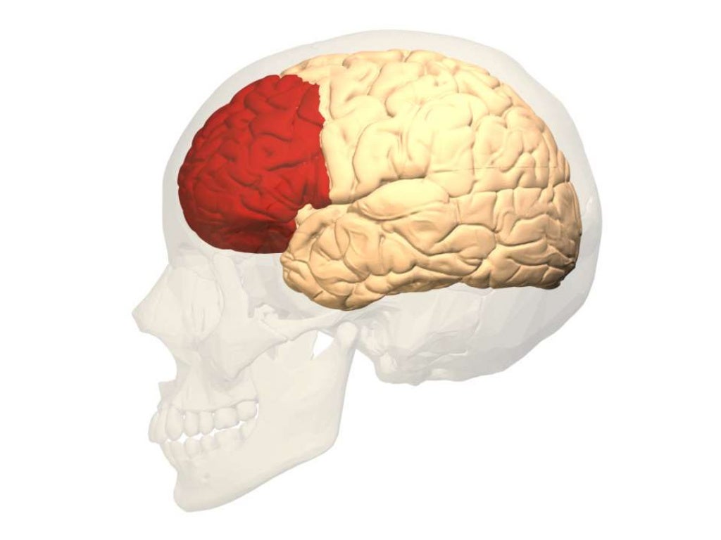 Autonomy and the brain