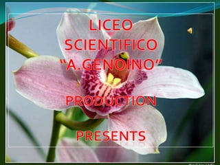 Liceo Genoino - le cellule staminali nelle piante