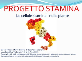 PROGETTO STAMINA
                        Le cellule staminali nelle piante




Esperti dott.ssa Marida Bimonte dott.ssa Assunta Tortora
Liceo Scientifico A. Genoino Cava d Tirreni (Sa)
Classi IVD e V D (indirizzo sperimentale di lingua) prof.sse Laura Salsano - Maria Fausta Santoro C Anna Maria Senatore
Complesso di Monte S. Angelo, Universit degli Studi di Napoli Federico II C 9 marzo 2012
 