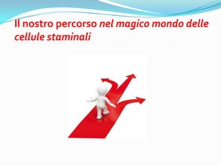 Il nostro percorso nel magico mondo delle
cellule staminali
 