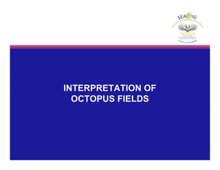 INTERPRETATION OF
OCTOPUS FIELDS
 