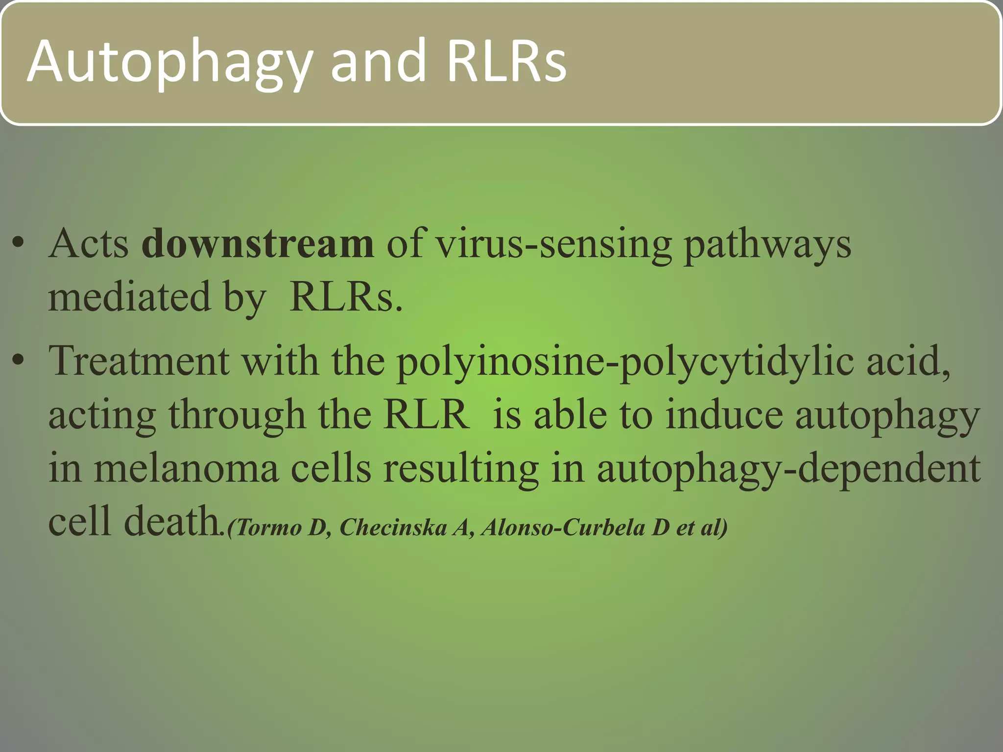 Autophagy and RLRs
• Acts downstream of virus-sensing pathways
mediated by RLRs.
• Treatment with the polyinosine-polycytidylic acid,
acting through the RLR is able to induce autophagy
in melanoma cells resulting in autophagy-dependent
cell death.(Tormo D, Checinska A, Alonso-Curbela D et al)
 