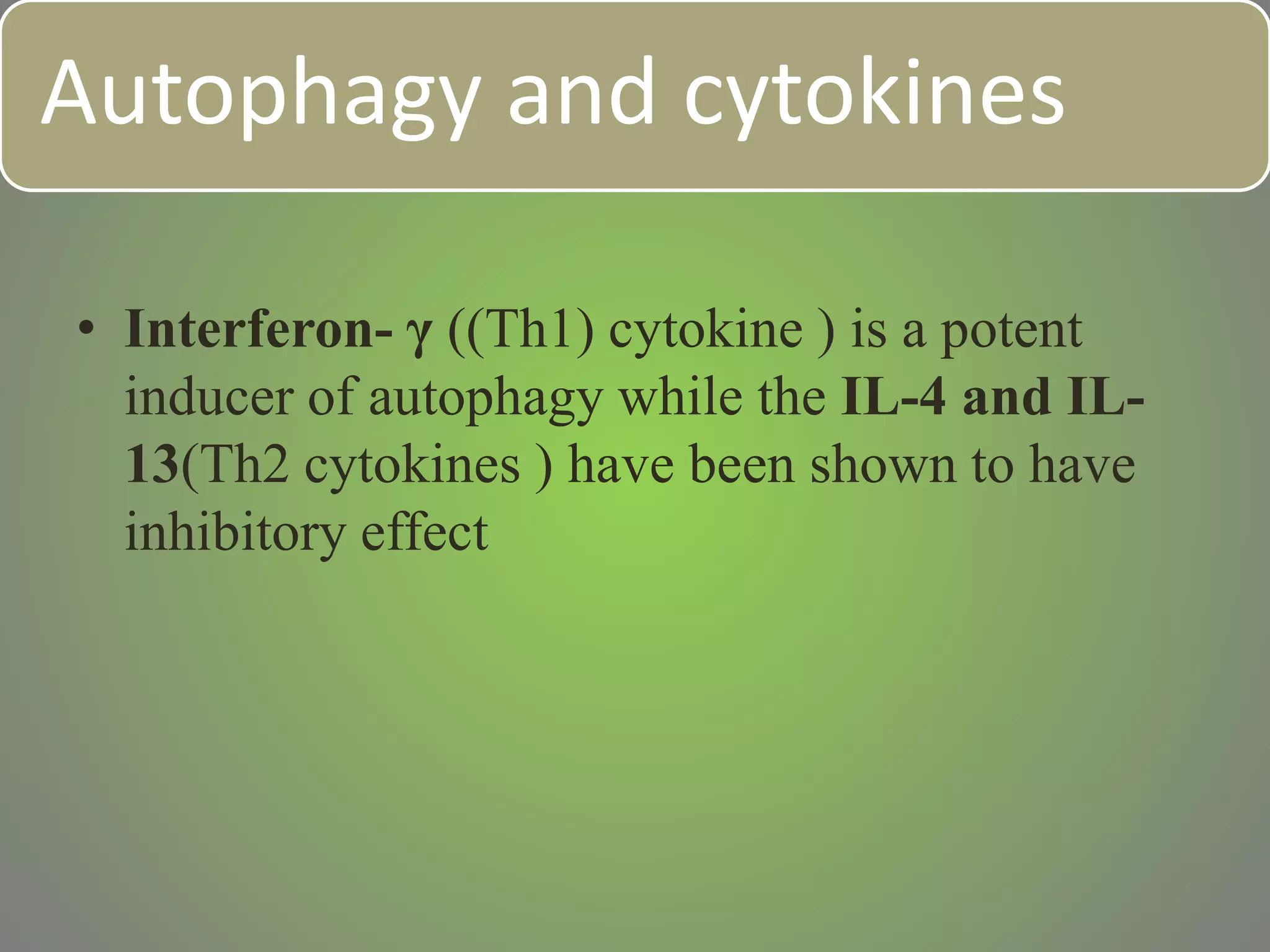 Autophagy and cytokines
• Interferon- γ ((Th1) cytokine ) is a potent
inducer of autophagy while the IL-4 and IL-
13(Th2 cytokines ) have been shown to have
inhibitory effect
 