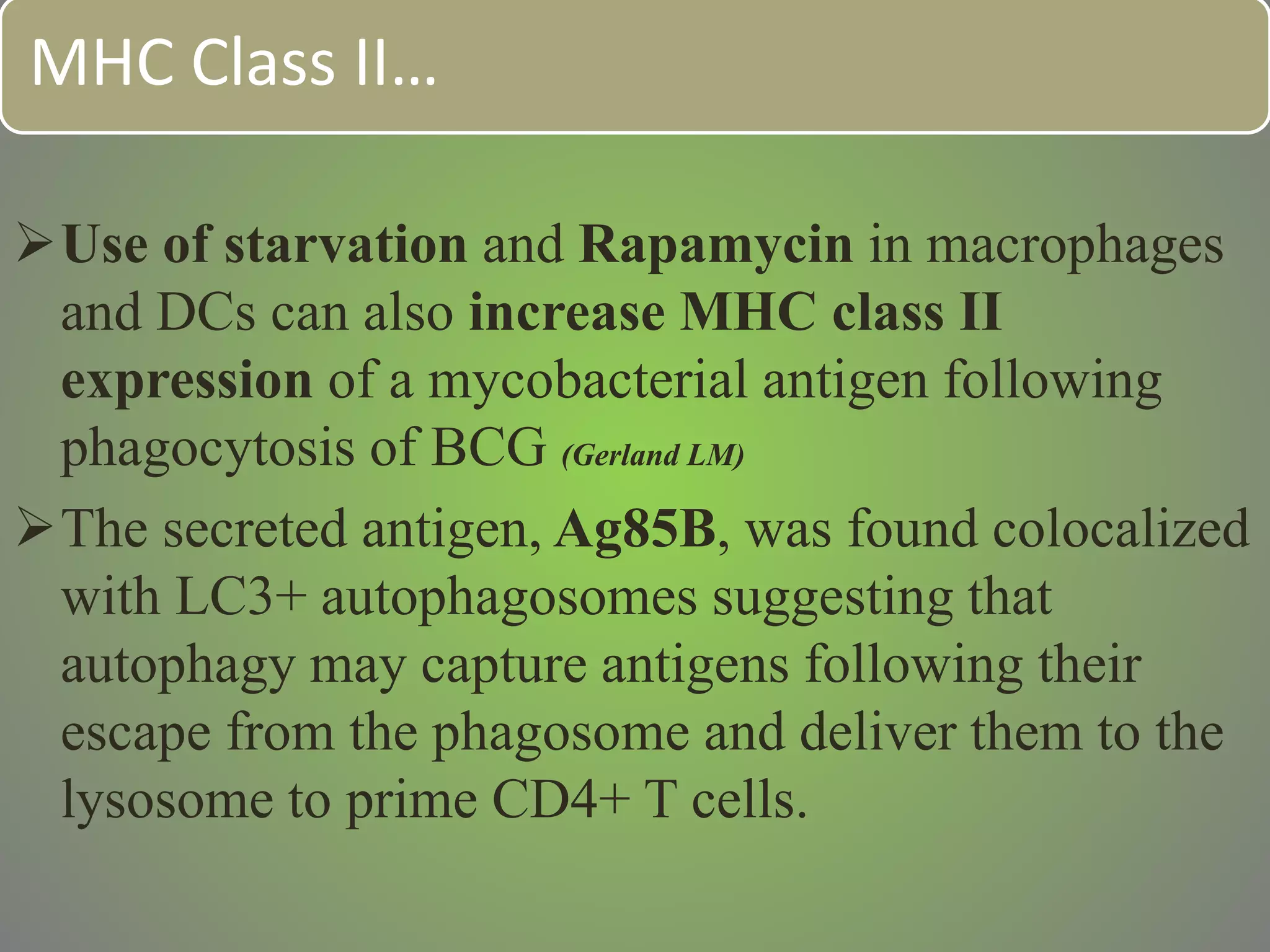 MHC Class II…
Use of starvation and Rapamycin in macrophages
and DCs can also increase MHC class II
expression of a mycobacterial antigen following
phagocytosis of BCG (Gerland LM)
The secreted antigen, Ag85B, was found colocalized
with LC3+ autophagosomes suggesting that
autophagy may capture antigens following their
escape from the phagosome and deliver them to the
lysosome to prime CD4+ T cells.
 