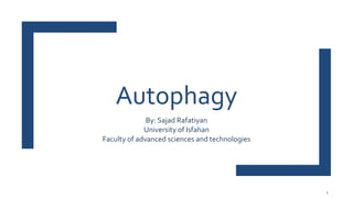 Autophagy
By: Sajad Rafatiyan
University of Isfahan
Faculty of advanced sciences and technologies
1
 
