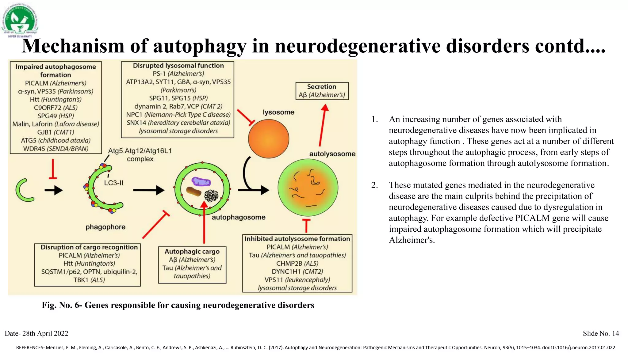 MULTIFACETED ROLES OF AUTOPHAGY IN CANCER & NEURODEGENERATIVE DISORDERS ...