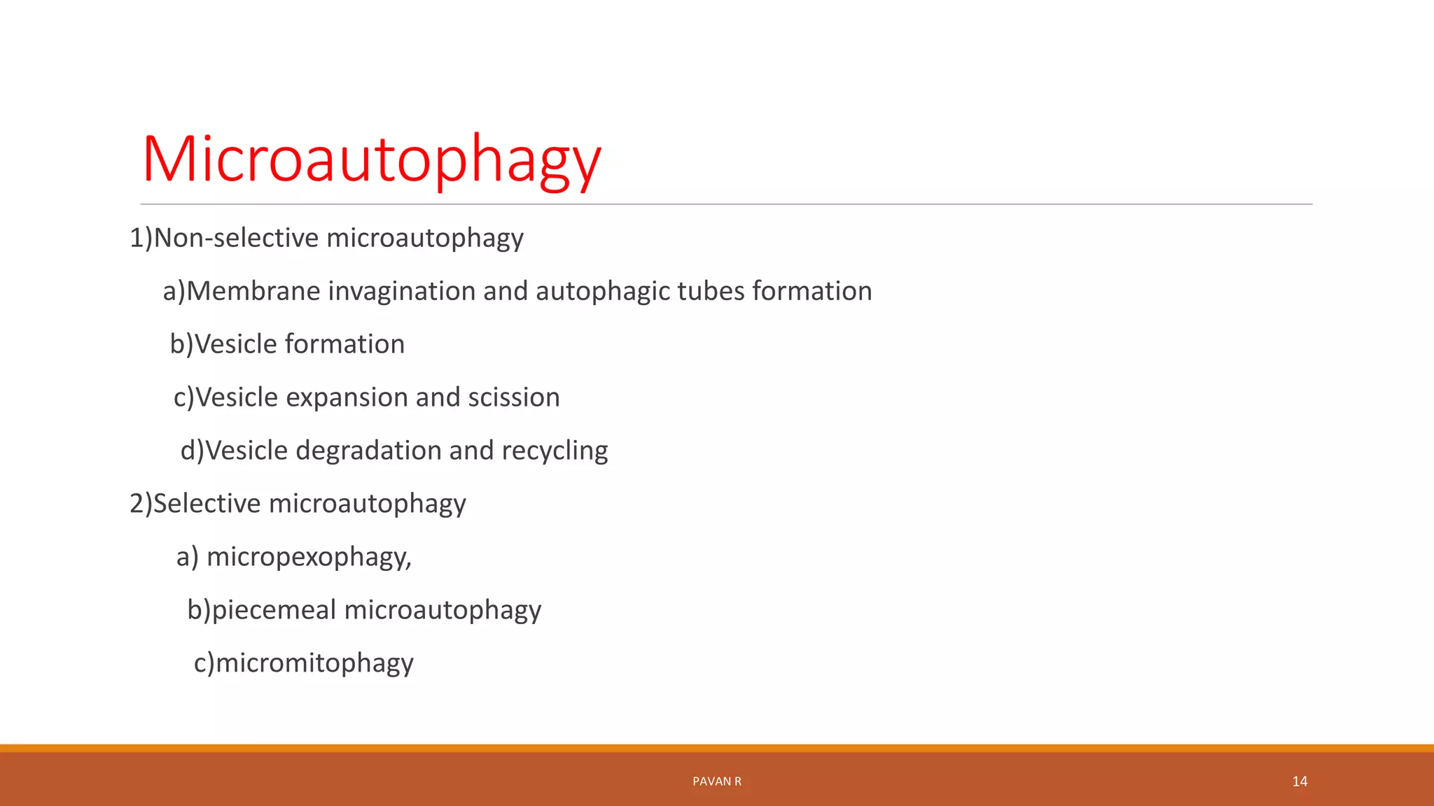 Microautophagy
1)Non-selective microautophagy
a)Membrane invagination and autophagic tubes formation
b)Vesicle formation
c)Vesicle expansion and scission
d)Vesicle degradation and recycling
2)Selective microautophagy
a) micropexophagy,
b)piecemeal microautophagy
c)micromitophagy
PAVAN R 14
 