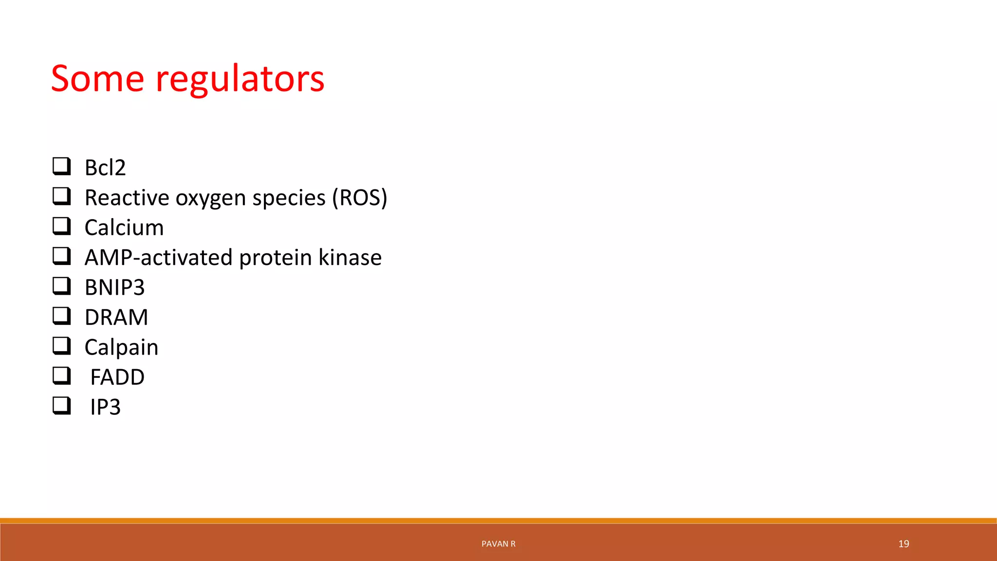 Some regulators
 Bcl2
 Reactive oxygen species (ROS)
 Calcium
 AMP-activated protein kinase
 BNIP3
 DRAM
 Calpain
 FADD
 IP3
PAVAN R 19
 