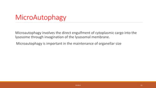 Autophagy by pavan | PPTX