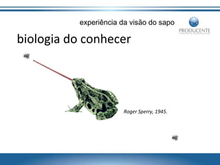 experiência da visão do sapo

biologia do conhecer

Roger Sperry, 1945.

 