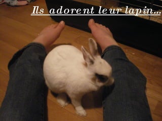 Ils adorent leur lapin… 