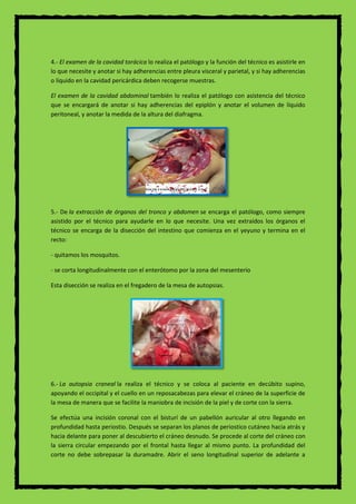 4.- El examen de la cavidad torácica lo realiza el patólogo y la función del técnico es asistirle en
lo que necesite y anotar si hay adherencias entre pleura visceral y parietal, y si hay adherencias
o líquido en la cavidad pericárdica deben recogerse muestras.
El examen de la cavidad abdominal también lo realiza el patólogo con asistencia del técnico
que se encargará de anotar si hay adherencias del epiplón y anotar el volumen de líquido
peritoneal, y anotar la medida de la altura del diafragma.
5.- De la extracción de órganos del tronco y abdomen se encarga el patólogo, como siempre
asistido por el técnico para ayudarle en lo que necesite. Una vez extraídos los órganos el
técnico se encarga de la disección del intestino que comienza en el yeyuno y termina en el
recto:
- quitamos los mosquitos.
- se corta longitudinalmente con el enterótomo por la zona del mesenterio
Esta disección se realiza en el fregadero de la mesa de autopsias.
6.- La autopsia craneal la realiza el técnico y se coloca al paciente en decúbito supino,
apoyando el occipital y el cuello en un reposacabezas para elevar el cráneo de la superficie de
la mesa de manera que se facilite la maniobra de incisión de la piel y de corte con la sierra.
Se efectúa una incisión coronal con el bisturí de un pabellón auricular al otro llegando en
profundidad hasta periostio. Después se separan los planos de periostico cutáneo hacia atrás y
hacia delante para poner al descubierto el cráneo desnudo. Se procede al corte del cráneo con
la sierra circular empezando por el frontal hasta llegar al mismo punto. La profundidad del
corte no debe sobrepasar la duramadre. Abrir el seno longitudinal superior de adelante a
 