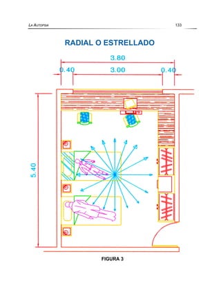 FIGURA 3
LA AUTOPSIA 133
RADIAL O ESTRELLADO
 
