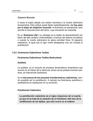 Espasmo Muscular:
A veces el sujeto adopta una actitud voluntaria y la muerte sobreviene
bruscamente. Esta actitud queda fijada instantáneamente, no hay paso
por la etapa de relajación muscular: el fenómeno es excepcional, pero
permite la reconstrucción del hecho, cuya simulación es imposible.
Es un fenómeno vital y su etiología es la rigidez de descerebración por
lesión del tallo cerebral, enfermedades o traumas del sistema circulatorio
o cuando la muerte sobreviene en plena actividad física. El espasmo
cadavérico, al igual que el rigor mortis desaparece una vez iniciada la
putrefacción.
7.4.2. Fenómenos Cadavéricos Tardíos
Fenómenos Cadavéricos Tardíos Destructores
Autólisis
La autólisis, es el conjunto de procesos fermentativos anaeróbicos que
ocurren en el interior de la célula por acción de las propias enzimas celu-
lares, sin intervención bacteriana.
Es el más precoz de los procesos transformativos cadavéricos, sien-
do sucedido por la putrefacción. A menudo los fenómenos autolíticos y
putrefactivos se superponen en su evolución.
Putrefacción Cadavérica
LA AUTOPSIA 77
La putrefacción cadavérica es el signo inequívoco de la muerte,
ya que no se trata de la cesación de un fenómeno vital sino de la
modificación de los tejidos, que sólo ocurre en el cadáver.
 
