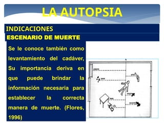LA AUTOPSIA
INDICACIONES
ESCENARIO DE MUERTE
Se le conoce también como
levantamiento del cadáver,
Su importancia deriva en
que puede brindar la
información necesaria para
establecer la correcta
manera de muerte. (Flores,
1996)
 