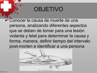OBJETIVO
• Conocer la causa de muerte de una
persona, analizando diferentes aspectos
que se deben de tomar para una lesión
violenta y letal para determinar la causa y
forma, manera, definir tiempo del intervalo
post-morten e identificar a una persona
 