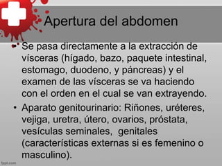 Apertura del abdomen
• Se pasa directamente a la extracción de
vísceras (hígado, bazo, paquete intestinal,
estomago, duodeno, y páncreas) y el
examen de las vísceras se va haciendo
con el orden en el cual se van extrayendo.
• Aparato genitourinario: Riñones, uréteres,
vejiga, uretra, útero, ovarios, próstata,
vesículas seminales, genitales
(características externas si es femenino o
masculino).
 
