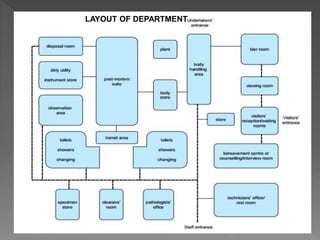 Autopsy Layout Autopsy services | PPTX