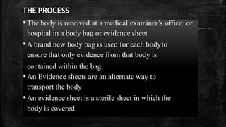Autopsy | PDF