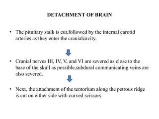 DETACHMENT OF BRAIN
• The pituitary stalk is cut,followed by the internal carotid
arteries as they enter the cranialcavity.
• Cranial nerves III, IV, V, and VI are severed as close to the
base of the skull as possible,subdural communicating veins are
also severed.
• Next, the attachment of the tentorium along the petrous ridge
is cut on either side with curved scissors
 
