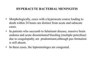 HYPERACUTE BACTERIAL MENINGITIS
• Morphologically, cases with a hyperacute course leading to
death within 24 hours are distinct from acute and subacute
cases.
• In patients who succumb to fulminant disease, massive brain
oedema and acute disseminated bleeding (multiple petechiae)
due to coagulopathy are predominant,although pus formation
is still absent.
• In these cases, the leptomeninges are congested.
 