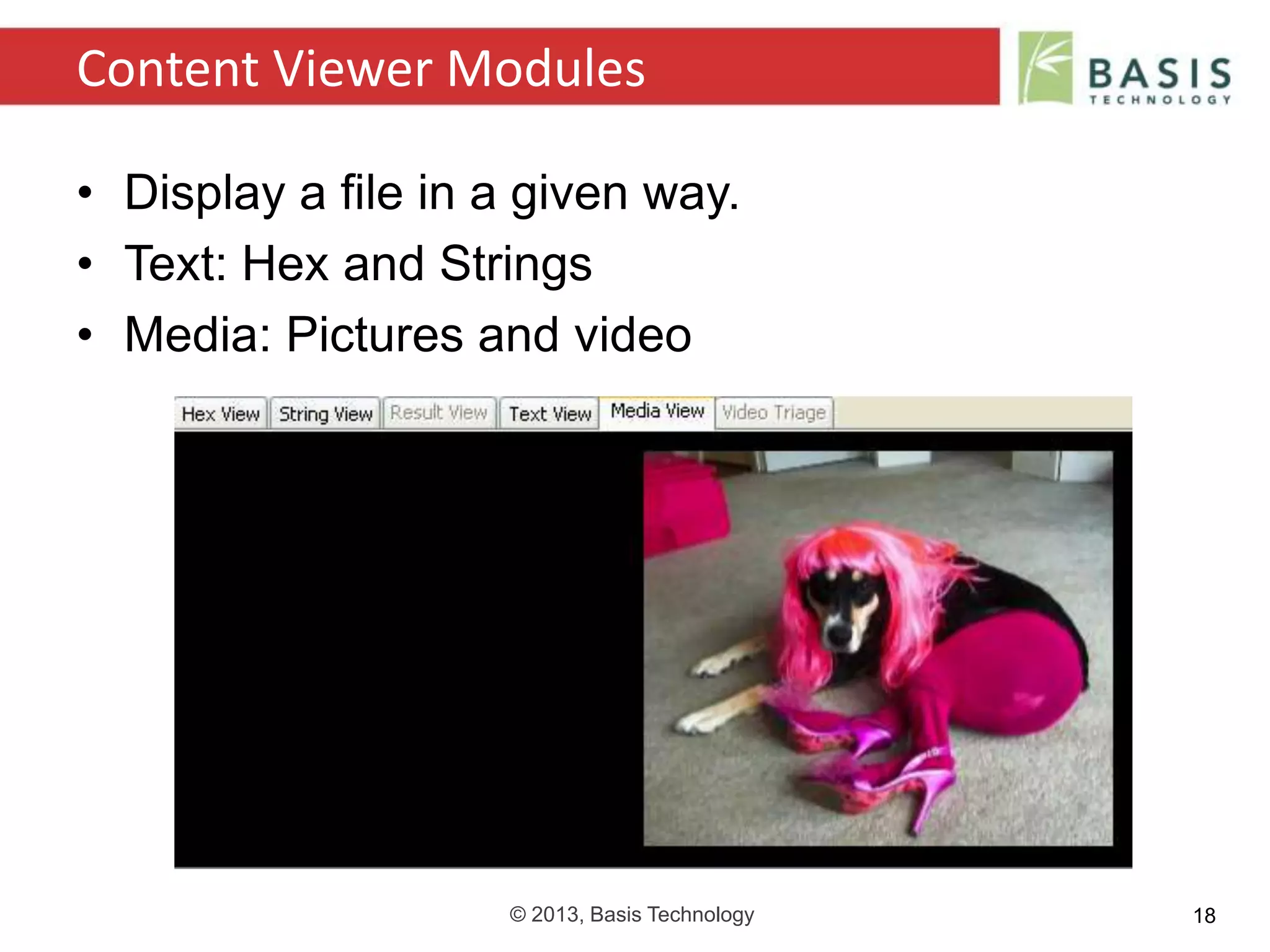 © 2013, Basis Technology 18
• Display a file in a given way.
• Text: Hex and Strings
• Media: Pictures and video
Content Viewer Modules
 
