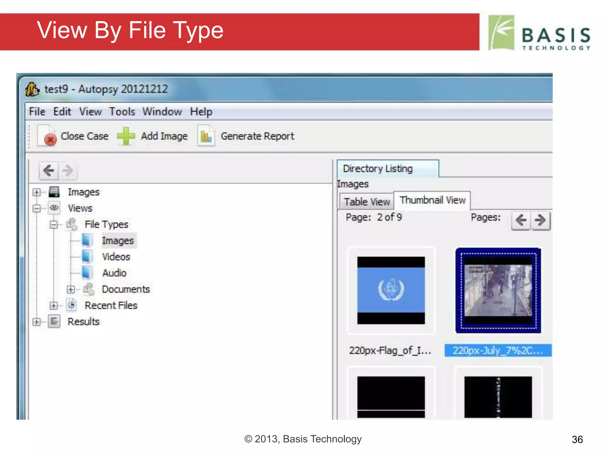 © 2013, Basis Technology 36
View By File Type
 