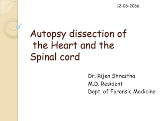 12-06-2066




Autopsy dissection of
the Heart and the
Spinal cord
            Dr. Rijen Shrestha
            M.D. Resident
            Dept. of Forensic Medicine
 