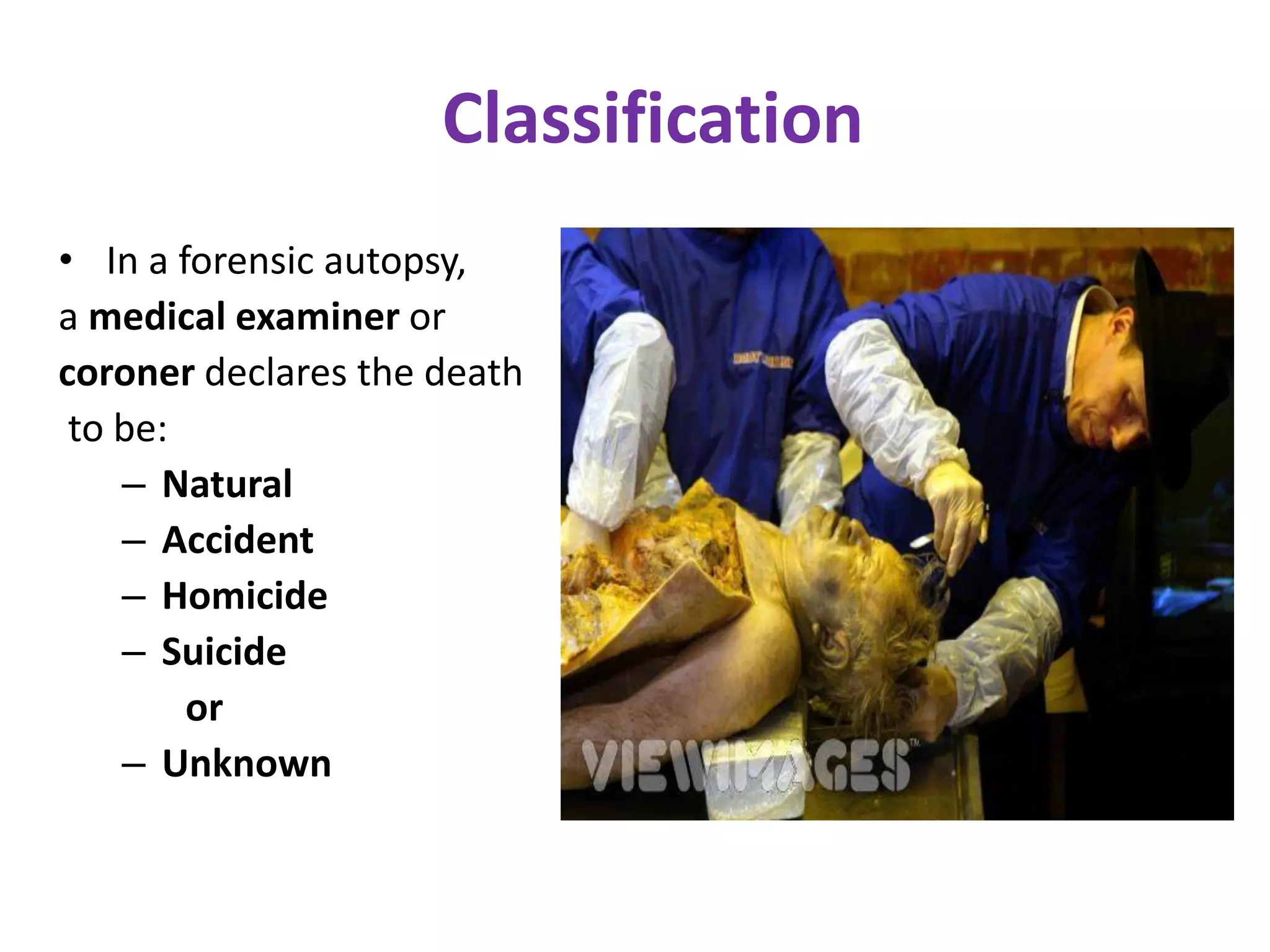 Treadwell'S Autopsy: A Gory Revelation - ec0vbzt