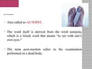 autopsy final. Undergraduate ...study . | PPTX