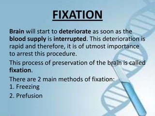 Autopsy internal examination, Forensic Medicine, Post-mortem ...