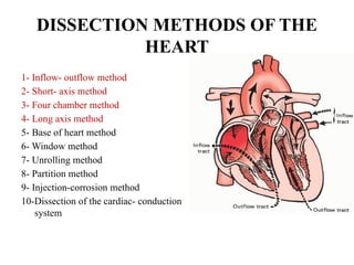 Comprehensive Guide to Heart Autopsy Procedures and Pathology | PPTX