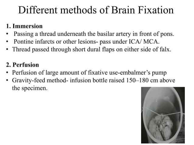 Autopsy techniques.ppt