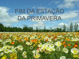 FIM DA ESTAÇÃO
DA
PRIMAVERA
FIM DA ESTAÇÃO
DA PRIMAVERA
 