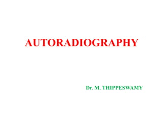 AUTORADIOGRAPHY
Dr. M. THIPPESWAMY
 