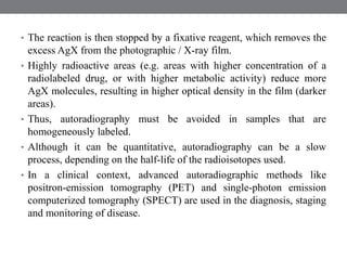 • The reaction is then stopped by a fixative reagent, which removes the
excess AgX from the photographic / X-ray film.
• Highly radioactive areas (e.g. areas with higher concentration of a
radiolabeled drug, or with higher metabolic activity) reduce more
AgX molecules, resulting in higher optical density in the film (darker
areas).
• Thus, autoradiography must be avoided in samples that are
homogeneously labeled.
• Although it can be quantitative, autoradiography can be a slow
process, depending on the half-life of the radioisotopes used.
• In a clinical context, advanced autoradiographic methods like
positron-emission tomography (PET) and single-photon emission
computerized tomography (SPECT) are used in the diagnosis, staging
and monitoring of disease.
 