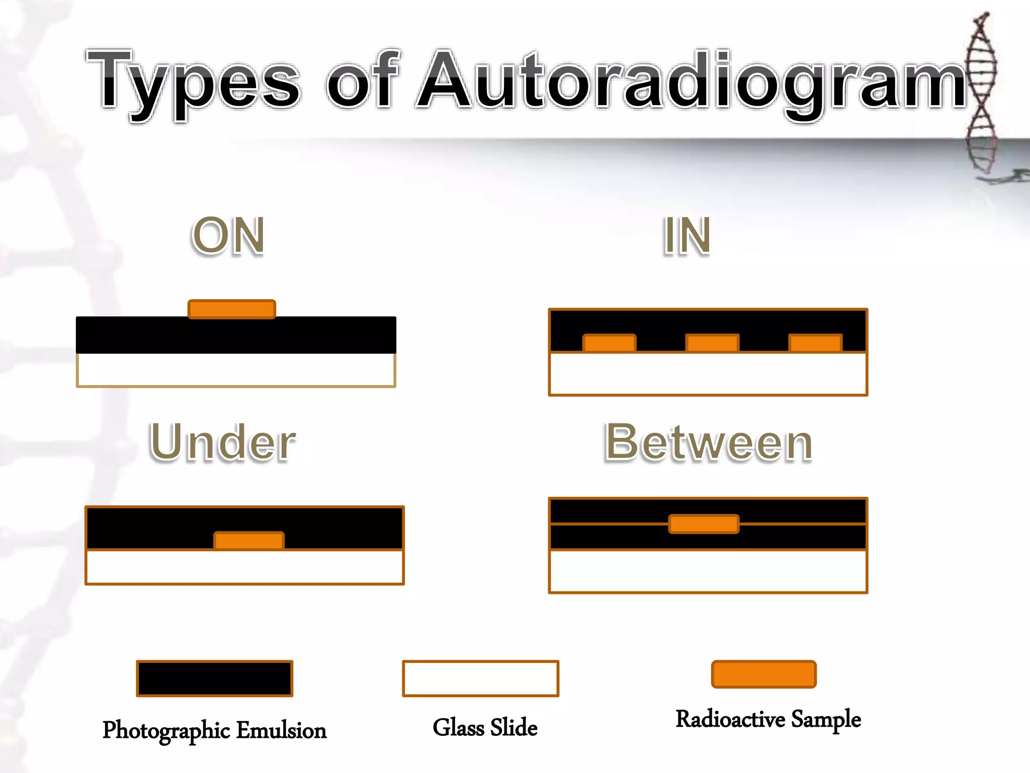 Autoradiography